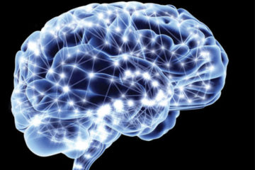 neuropace brain image